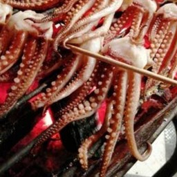 ชวนฝันปลาหมึกย่างมะนาวสดปตทโรงแรมเบิร์ด ปตทแยกโรงแรมเบิร์ด