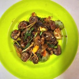 เพียบพร้อมอาหารป่า หมาไม่ได้แดก