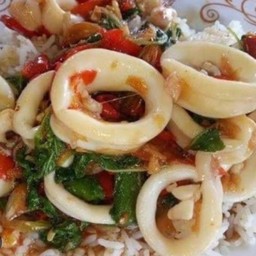 ข้าวกะเพราปลาหมึก