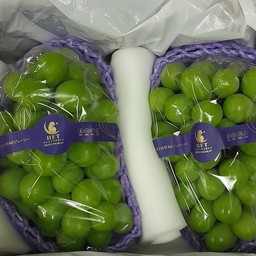 องุ่นไซมัส 2 ช่อ ใหญ่ /กล่อง ตรานกแก้ว