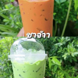 บันนี่แก๊ง อาหารสัตว์