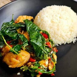 ข้าวกระเพราไก่