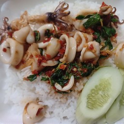 กระเพราปลาหมึก