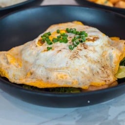 ดั้งเดิมปลา