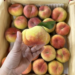 พีชโดนัท 1 กิโล