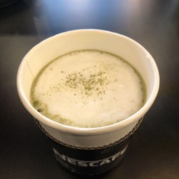 ชาเขียวมัทฉะร้อน