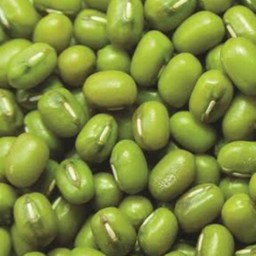 ถั่วเขียว