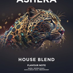 BLACK (HOUSE BLEND) MEDIUM LIGHT