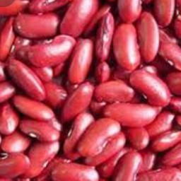 ถั่วแดง