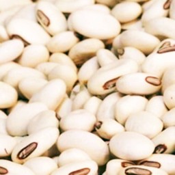 ถั่วขาว