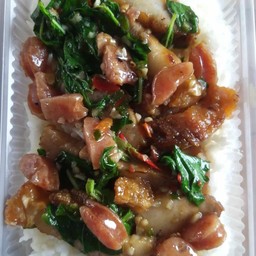 กะเพราหมูกรอบ+กุนเชียง