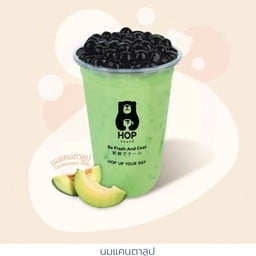 นมแคนตาลูป