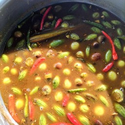 แกงไตปลา