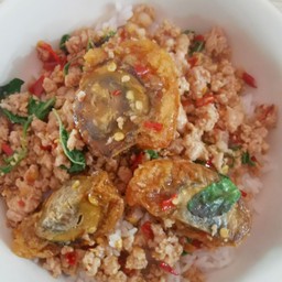 กะเพราไข่เยี่ยวม้าหมูสับ