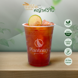 ชามะนาวเย็นหญ้าหวาน