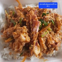 ปลาหมึกผัดผงกะหรี่