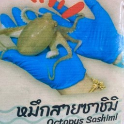 ปลาหมึกสาย ตัวเล็ก