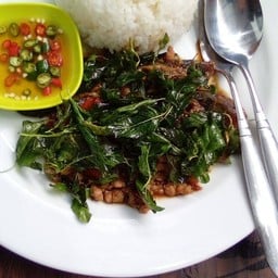 กระเพราไข่เยี่ยวม้า