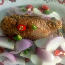 ยำปลาอินทรีย์