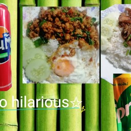 ชุดเฮฮาติดดาว ข้าวกระเพราหมูไข่ดาว+ข้าวหมูทอด+น้ำอัดลม1กระป๋อง