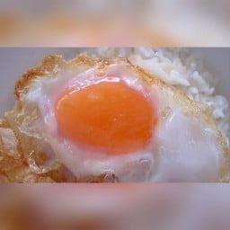 ไข่ดาว