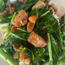 คะน้าหมูกรอบราดข้าว