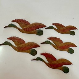 นกไม้สัก