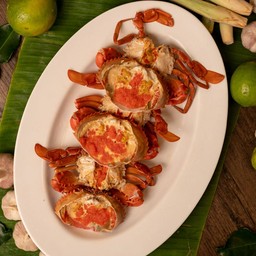 ปูดำปูทะเลปูไข่นายหนึ่ง