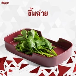 ขึ้นฉ่าย