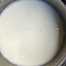 นมสดร้อน