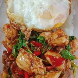 ข้าวกระเพราอกไก่+ไข่ดาว