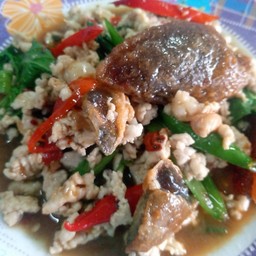 กระเพราไก่ไข่เยี่ยวม้ากระเพรากรอบ