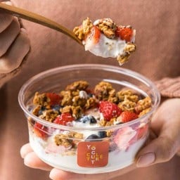 Yogurt Culture Sindhorn Building