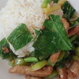 ไก่คะน้าน้ำมันหอยราดข้าว