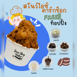 สโนว์ไอซ์ดาร์กช็อก