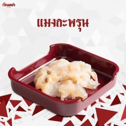 แมงกะพรุน