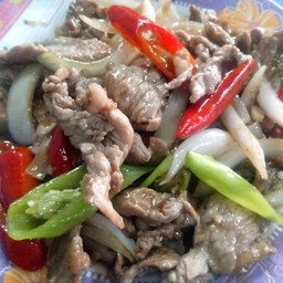 ผัดพริกสด กับข้าวตามใจ