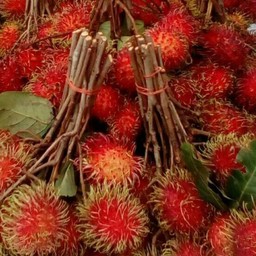เงาะ 1kg