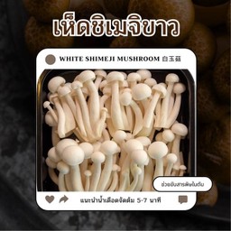เห็ดชิเมจิขาว