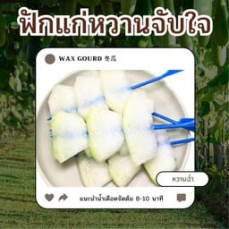 ฟักแก่หวานจับใจ