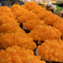 สาหร่ายแก้ว