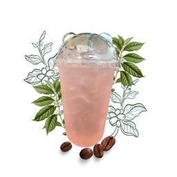 ลิ้นจี่โซดา