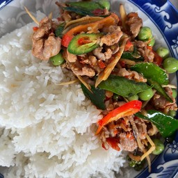 ผัดเผ็ดหมูป่า ราดข้าว