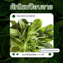 ผักโขมป๊อบอาย