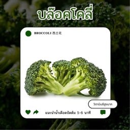 บล็อกโคลี่