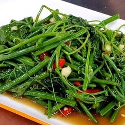 แม้ว ไฟแดง