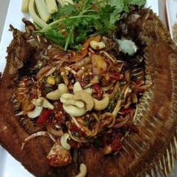 ปลากะพงลุยสวน.