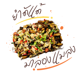 ยำดักแด้แซ่บซี๊ด