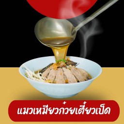 แมวเหมียวก๋วยเตี๋ยวเป็ด