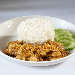 ข้าวไก่กระเทียมฮอลลี่